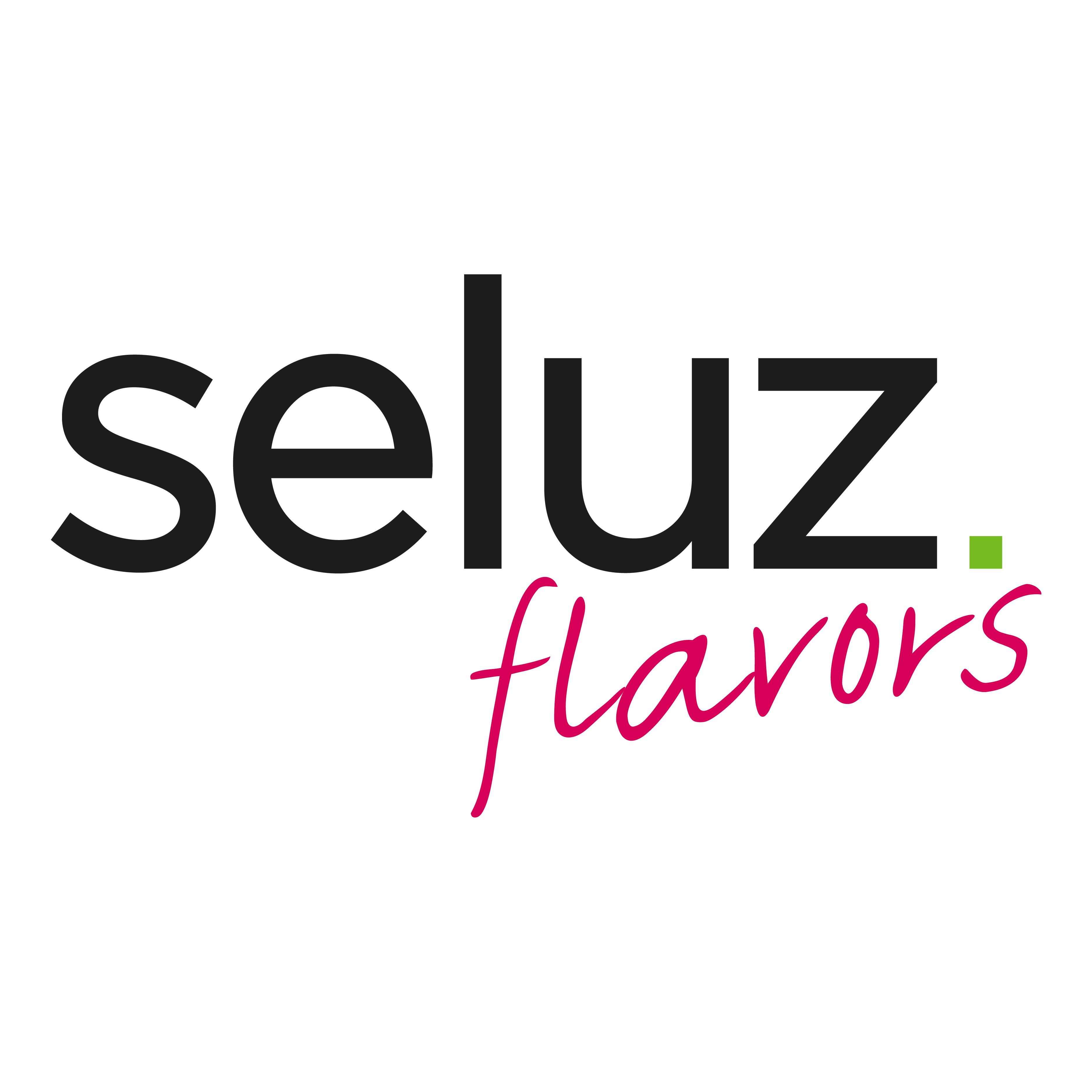 SELUZ FRAGRANCE & FLAVOR COMPANY